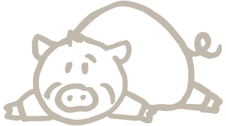 Farm Accommodation Cornwall Pig Illustration